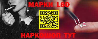гашик Будённовск