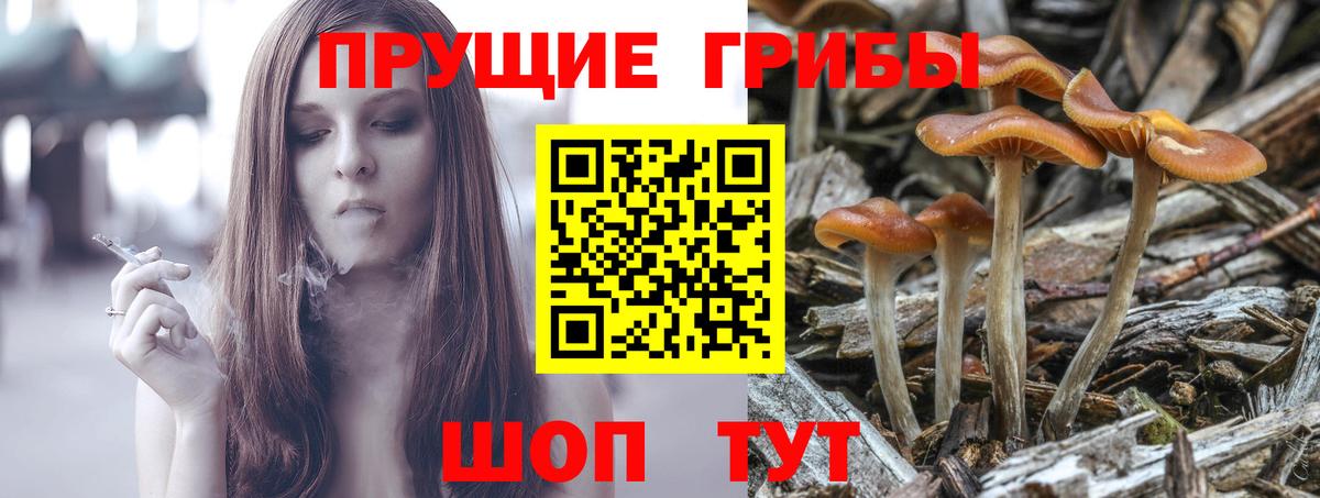 Псилоцибиновые грибы прущие грибы Краснодар